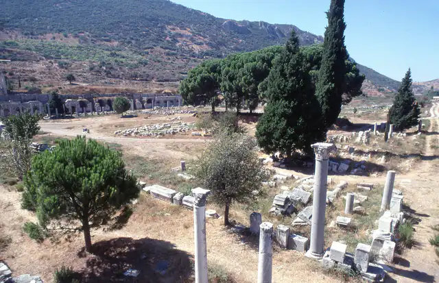 The Commercial Agora seen from above, with scattered columns, a tall cypress and wooded slopes